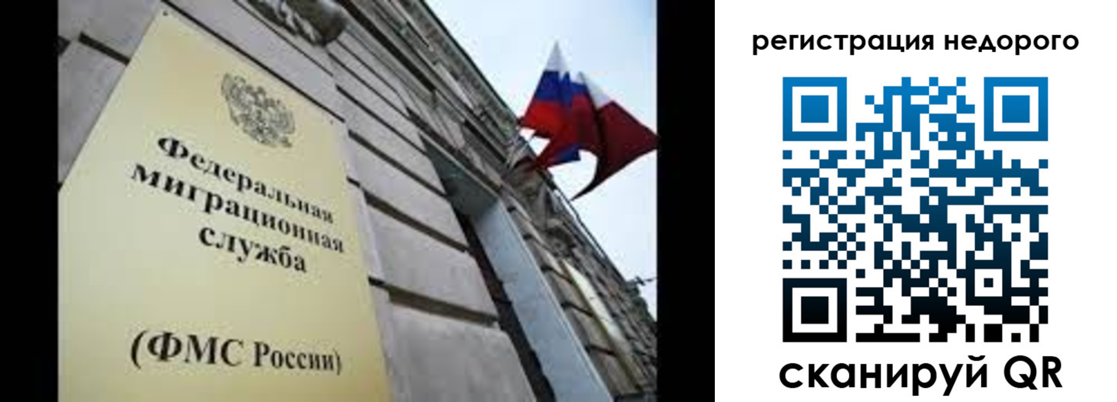 прописка поиск в Камышине